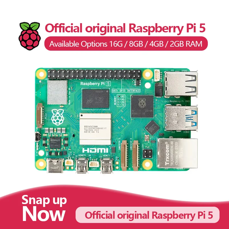 VivaOfficial Raspberry Pi 5 Or - Raspberry Pi 5 8Gb recensione e prezzo